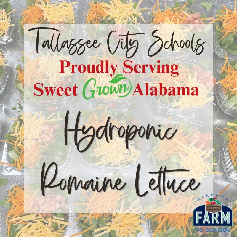 Locally Grown Lettuce at Our Schools!
