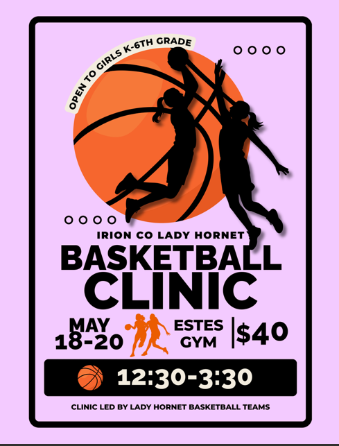 LITTLE LADY HORNET BASKETBALL CLINIC