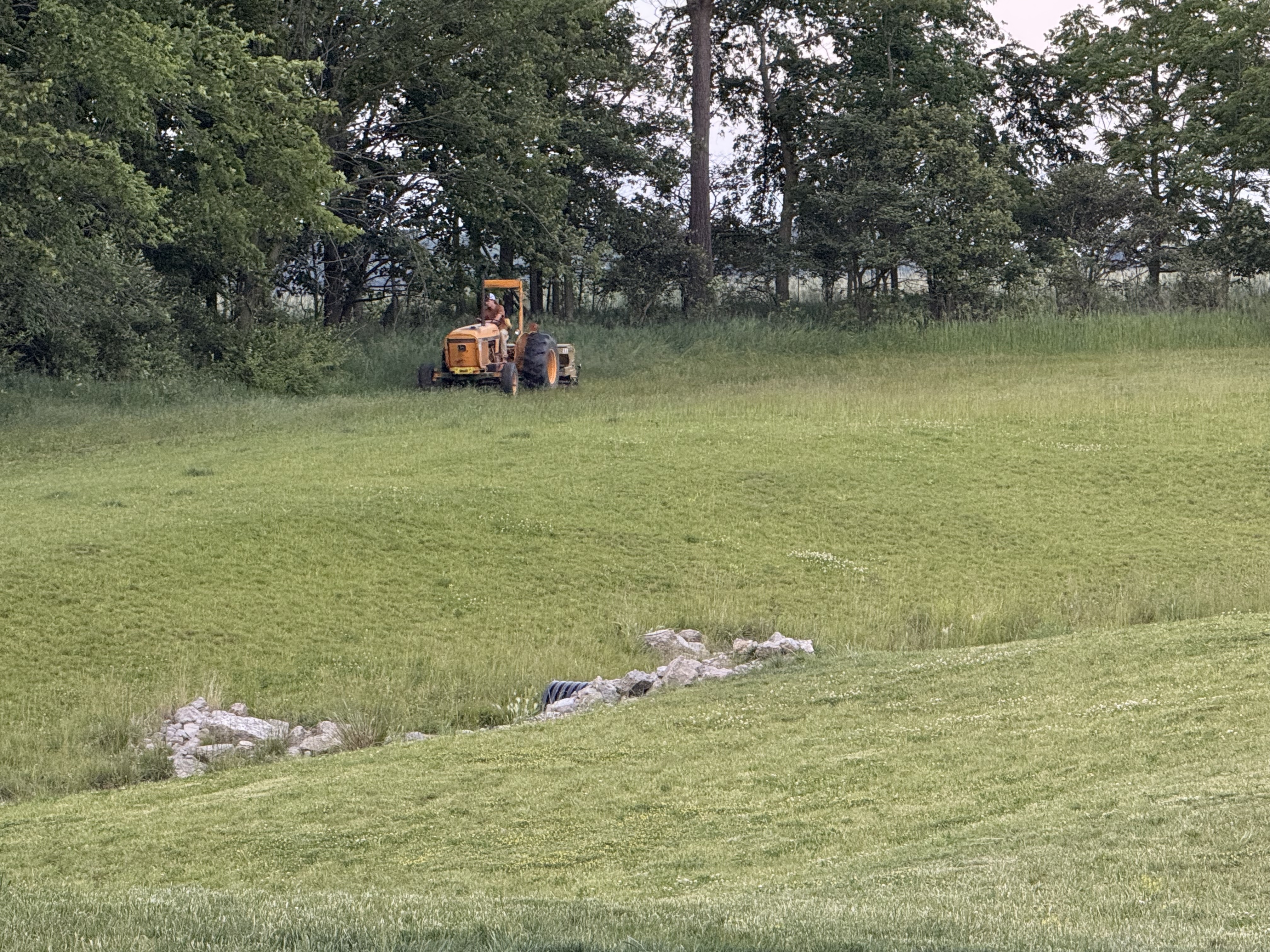 A person drives a yellow tractor through a lush green field.