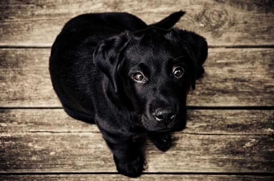 Test Social Post
