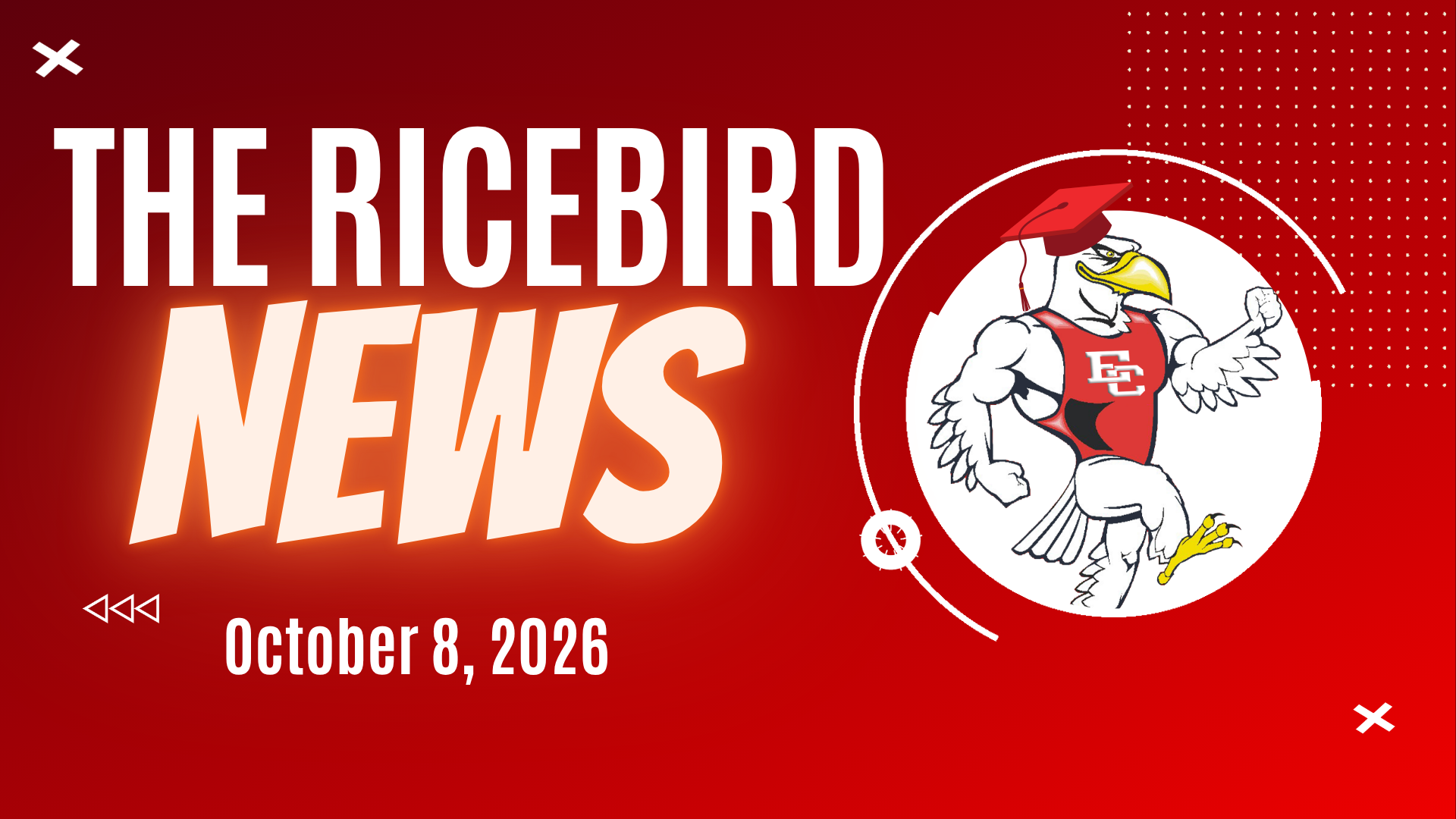 October 8, 2026 Ricebird News