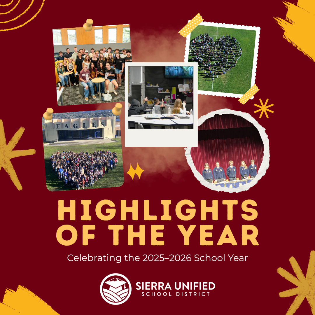 End of the Year Reflection