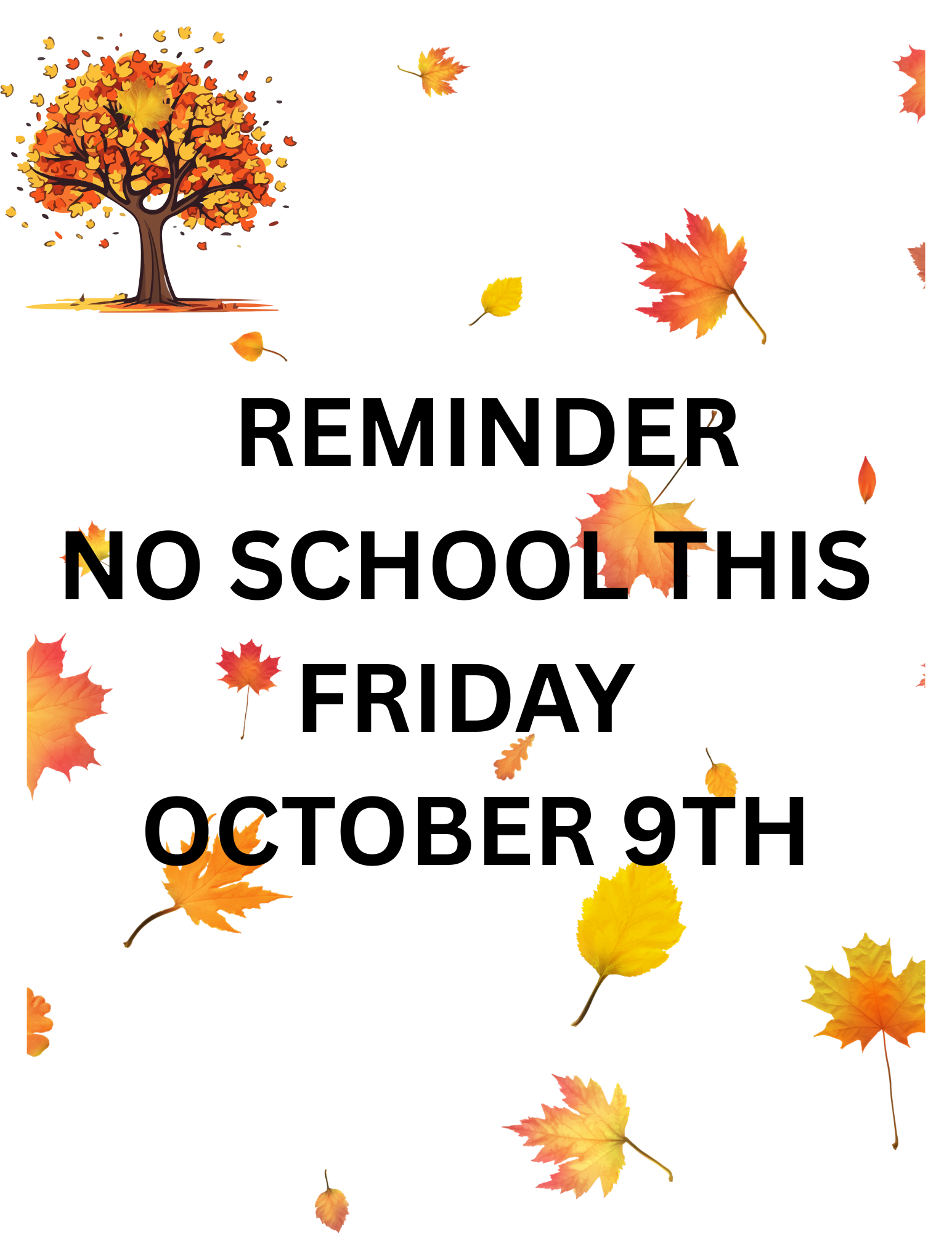 NO SCHOOL FRIDAY