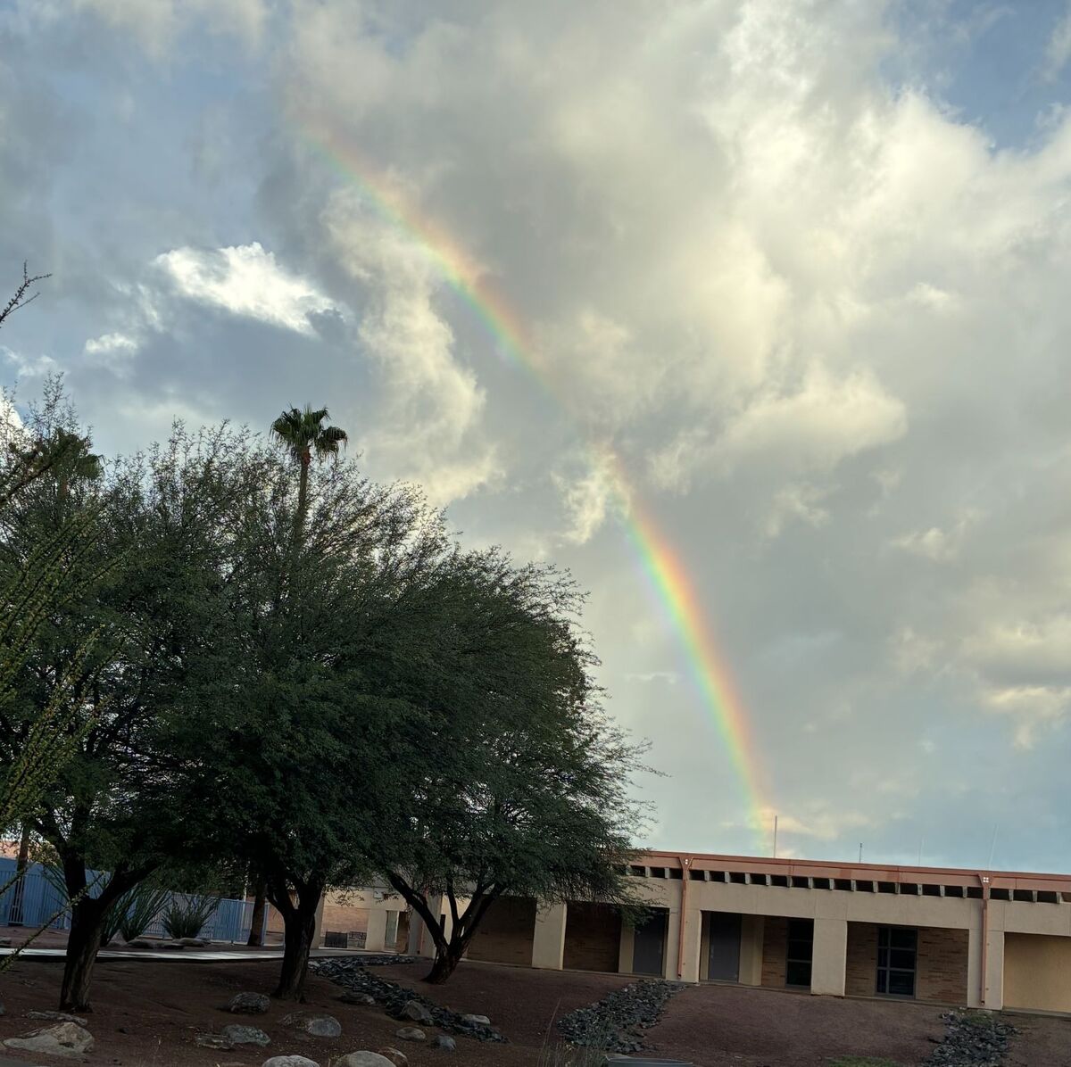 A vibrant rainbow arches across a cloudy sky above a desert landscape with trees and a low-rise building.