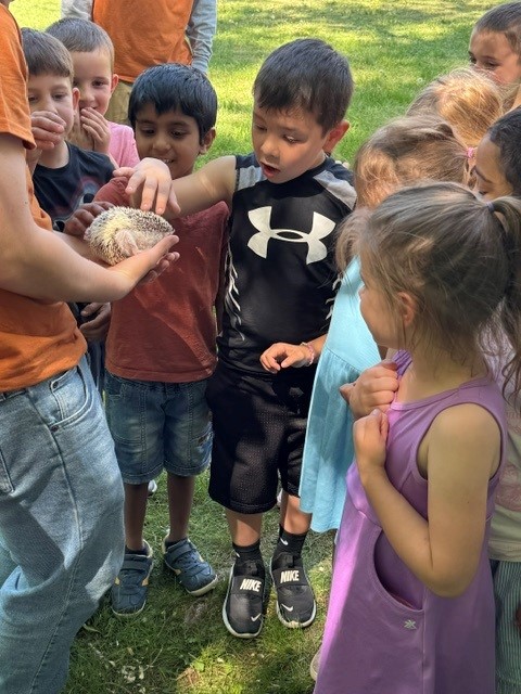 Children gather around to observe a hedgehog being held by an adult.