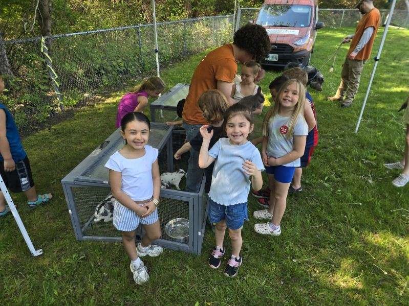 Children gather around a large rabbit hutch at an outdoor event, with a van labeled 'Homestead Farm' in the background.