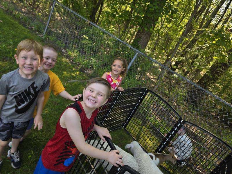 Four smiling children look towards the camera near a fenced enclosure with sheep and a goat.