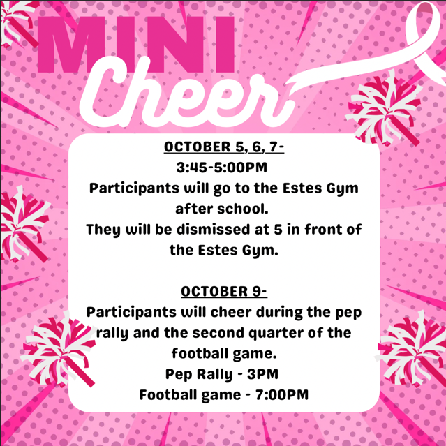 Mini Cheer Camp