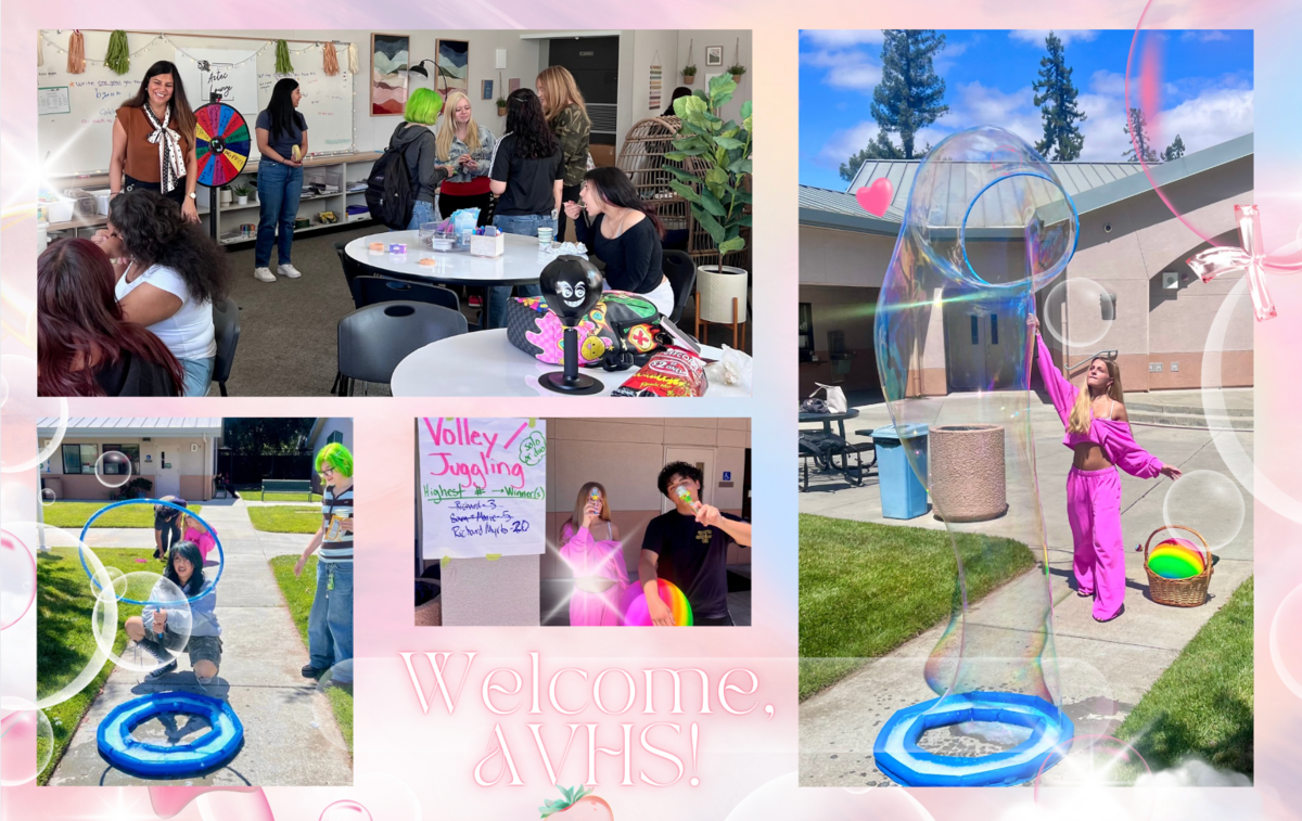 Alta Vista Updates - August 14, 2026