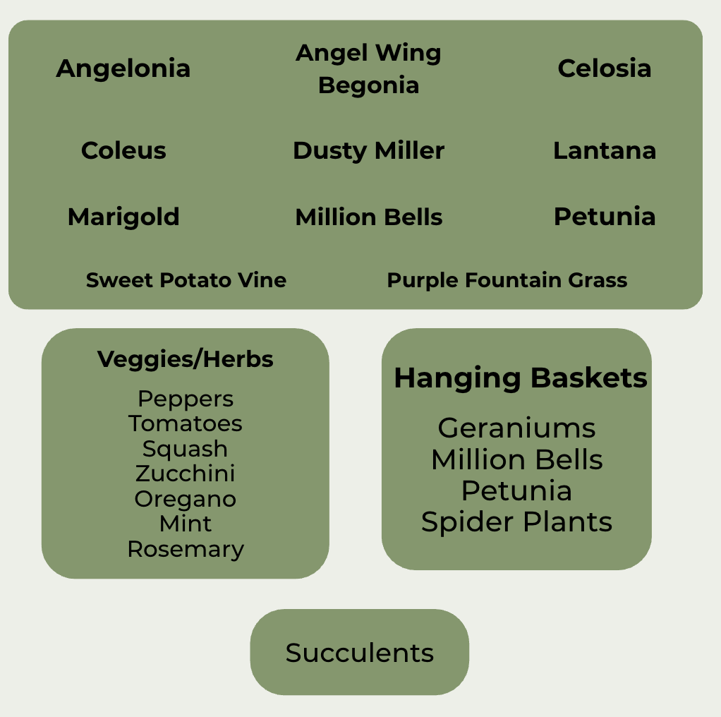 list of plants sold at the plant sale
