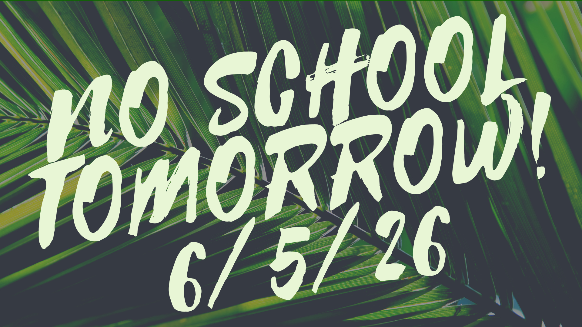 NO SCHOOL REMINDER!