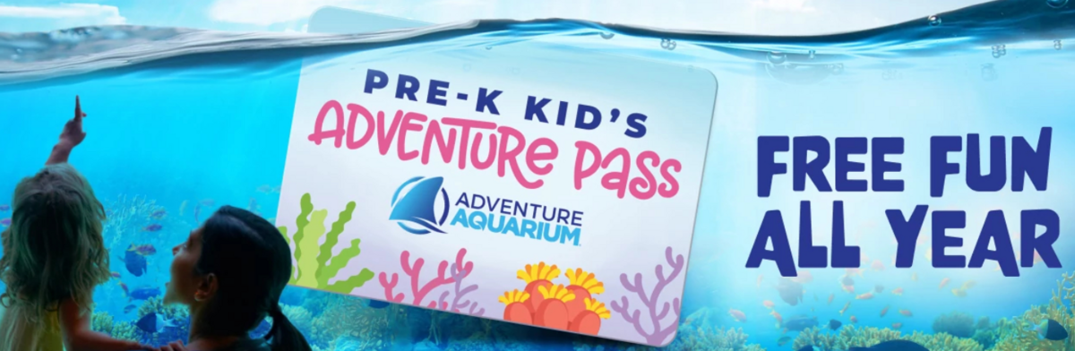 Free opportunity for preschoolers