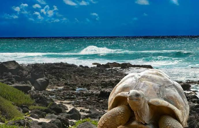  An unforgettable adventure awaits your child in Ecuador and the Galapagos Islands!