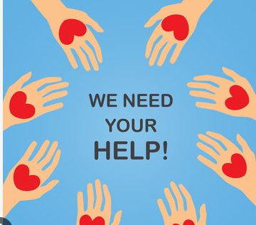 we STILL NEED YOUR HELP Chocolate Sales