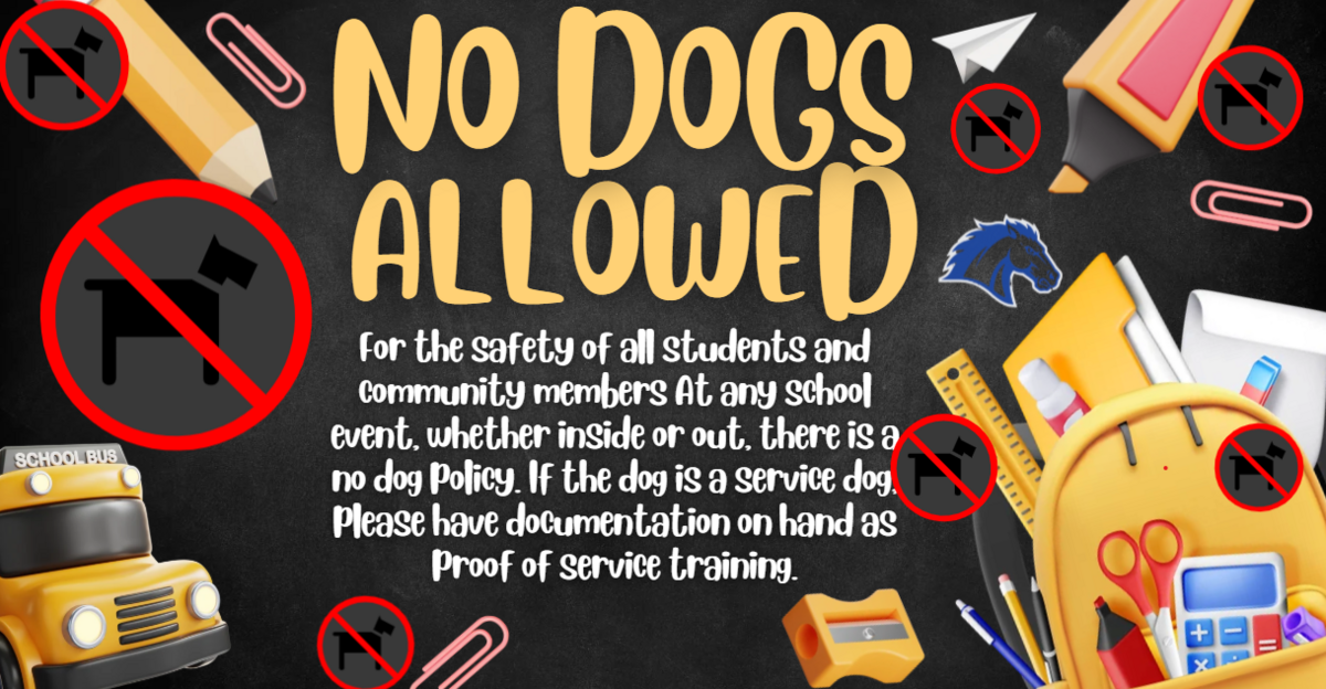 No Dogs on School Grounds