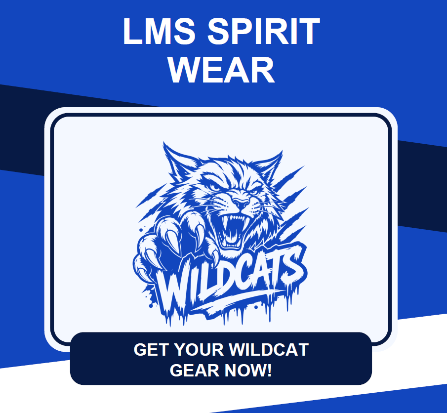 LMS Spirit Store