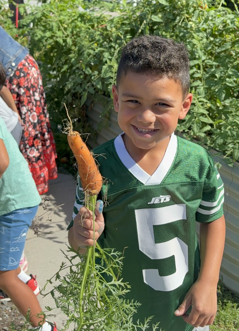 RSE First Graders Harvest 111 Homegrown Carrots