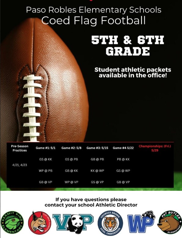 Flag Football Game