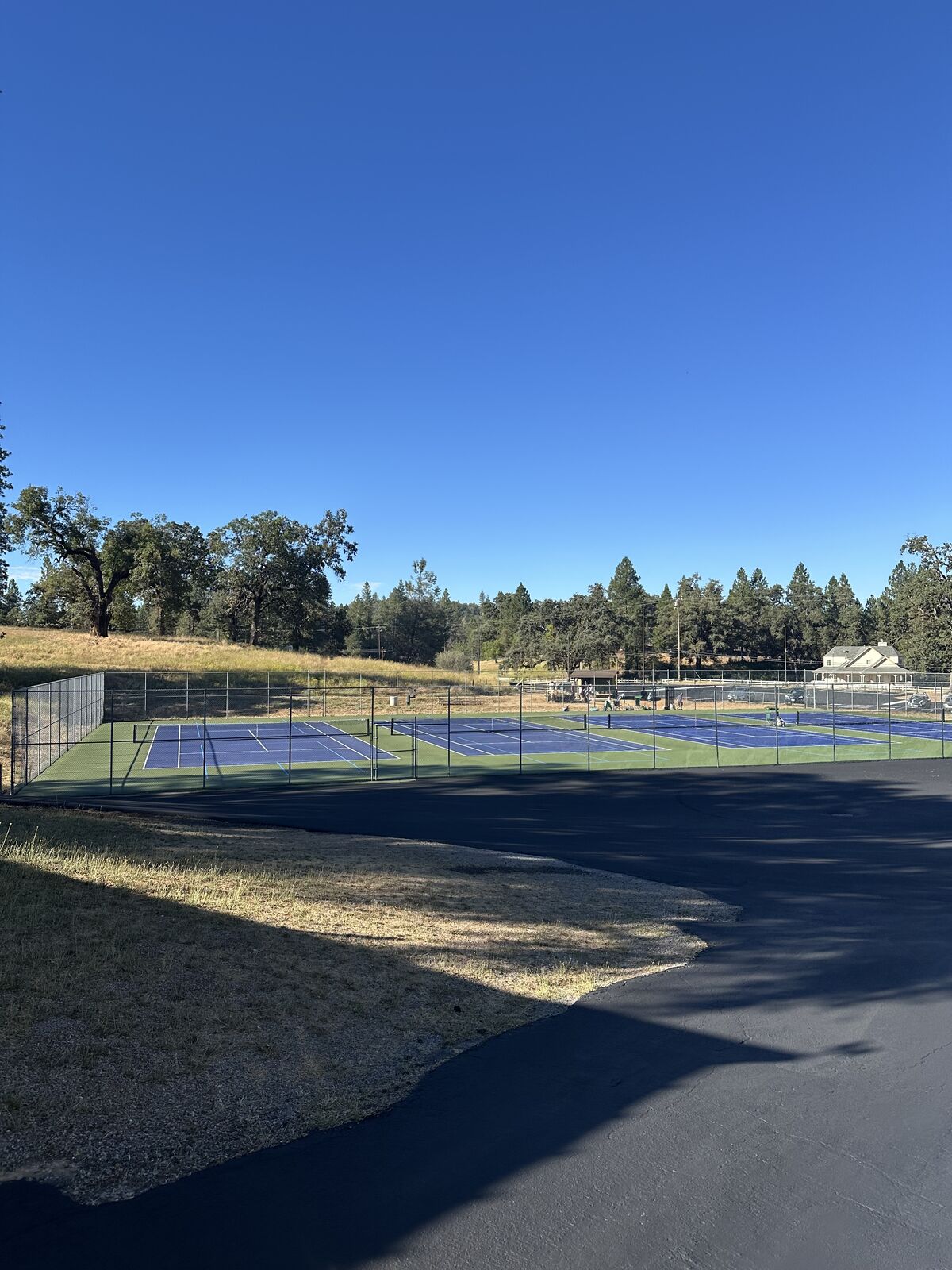Tennis Anyone?