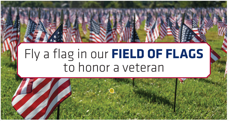 Fly a Flag in our Field of Flags this Veterans Day