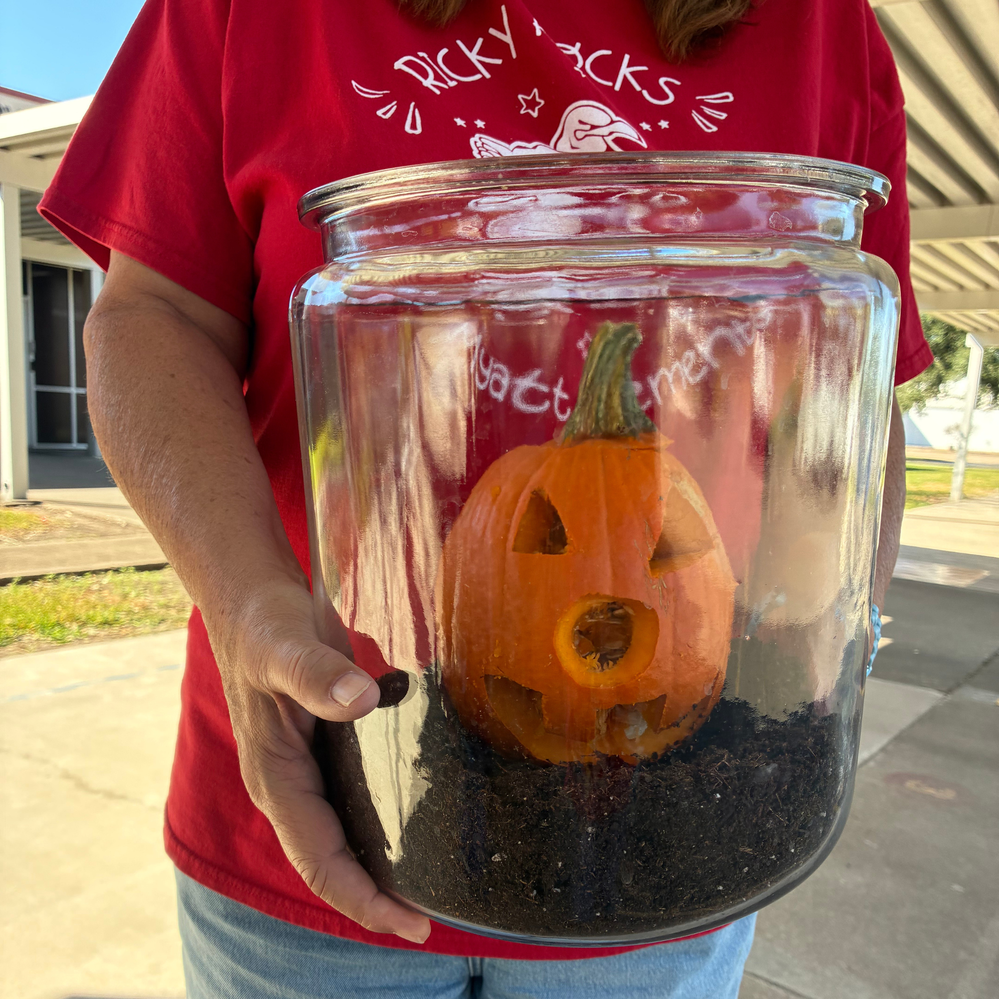 A person in a red shirt holds a large glass jar containing a small carved pumpkin sitting in soil.