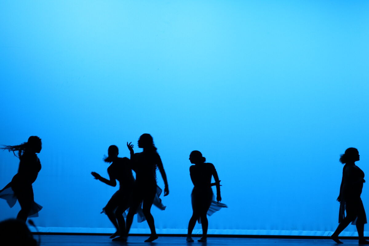 whs dance show