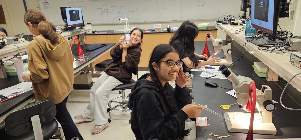 sci 2