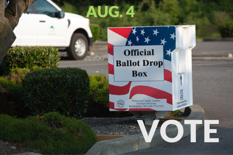 Remember to Vote: Today Aug. 4