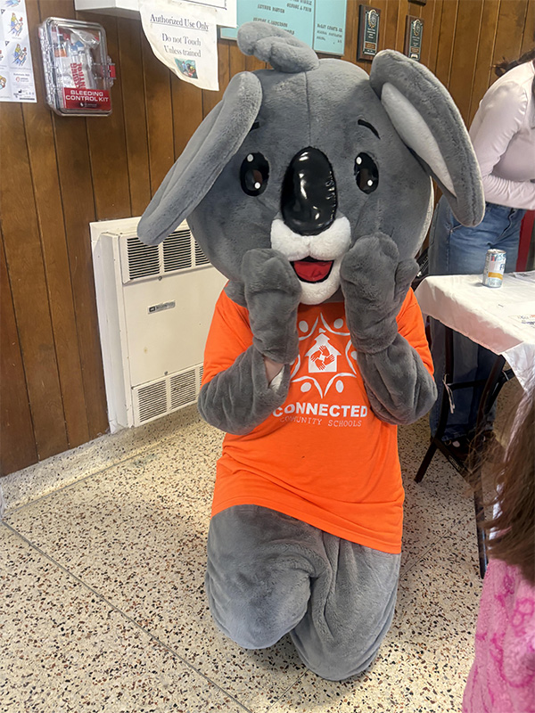 A person in a gray koala mascot costume kneels on a speckled floor, wearing an orange t-shirt with "CONNECTED COMMUNITY SCHOOLS" logo.