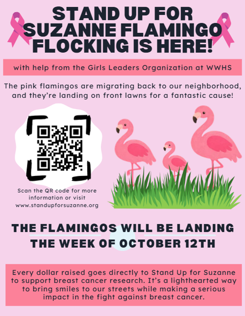 Stand Up for Suzanne Flamingo Flocking - Week of October 12th