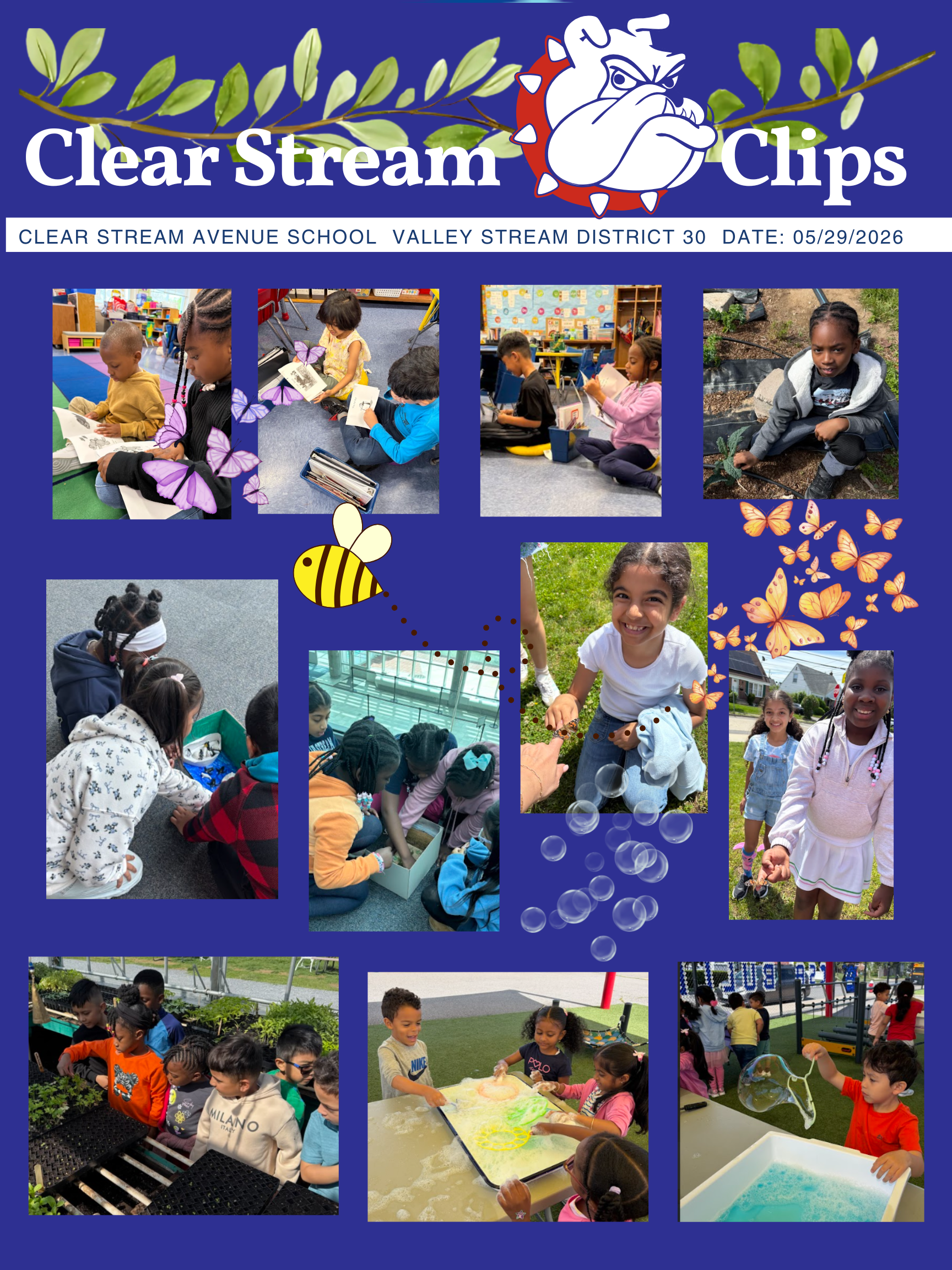 Clear Stream Clips