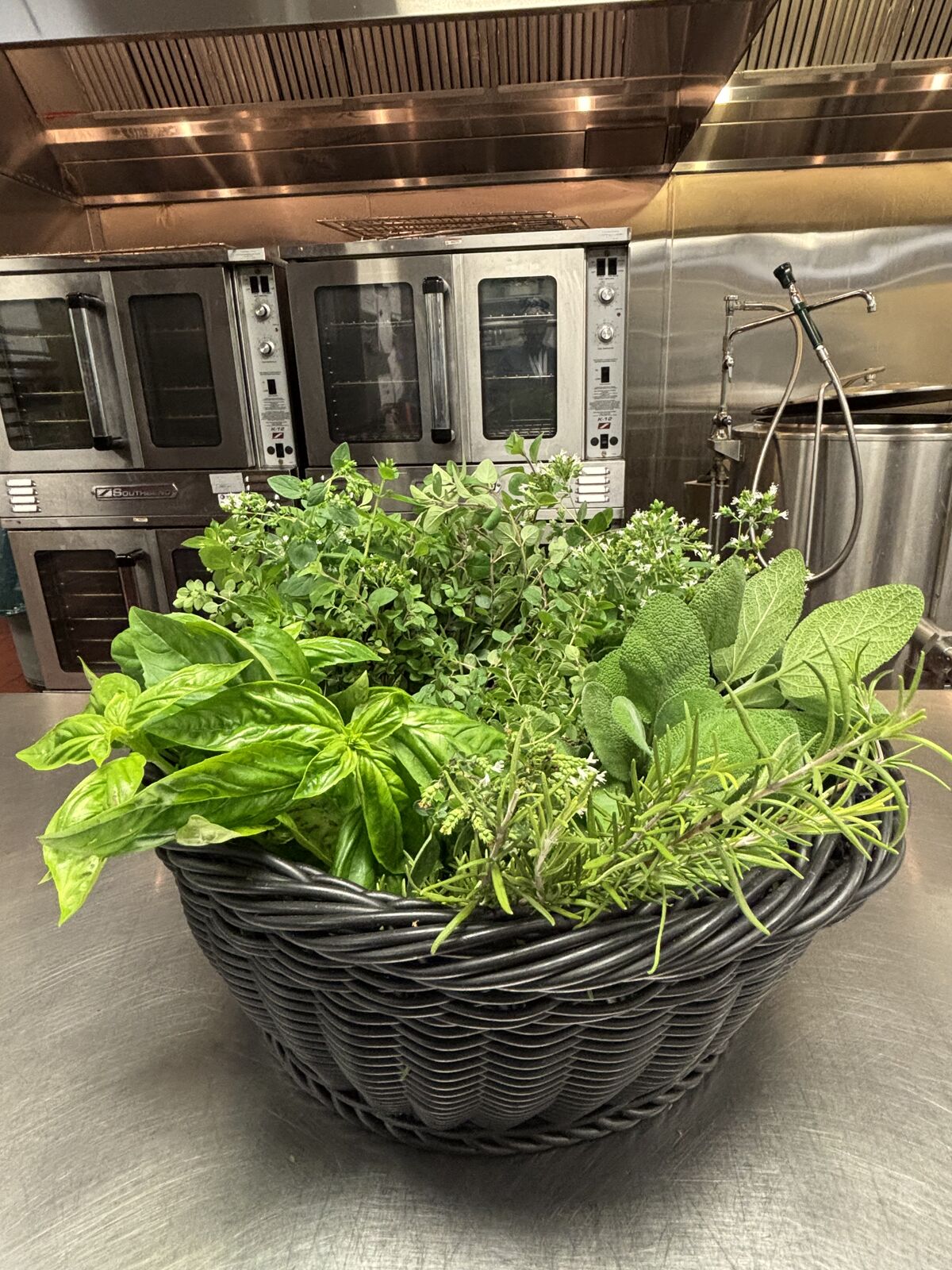 Foodie Friday: Fresh Herbs From The Garden 🌿