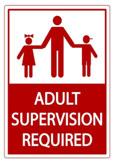 WMS Updates: Homecoming, Supervision, Arrival/Dismissal, Medications, A-F Schedule