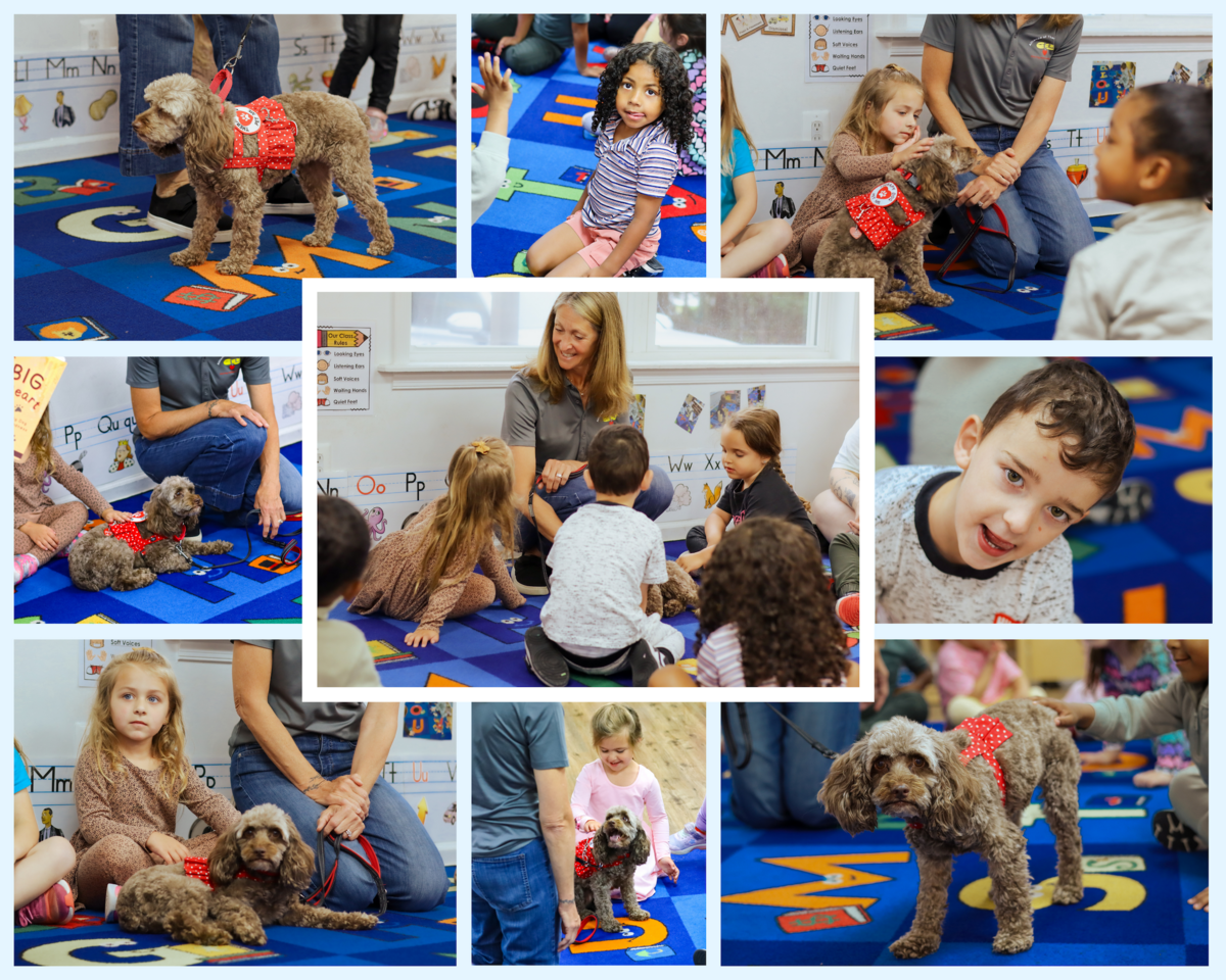 Special Visitor: Therapy Dog Gracey Visits Pre-K Students