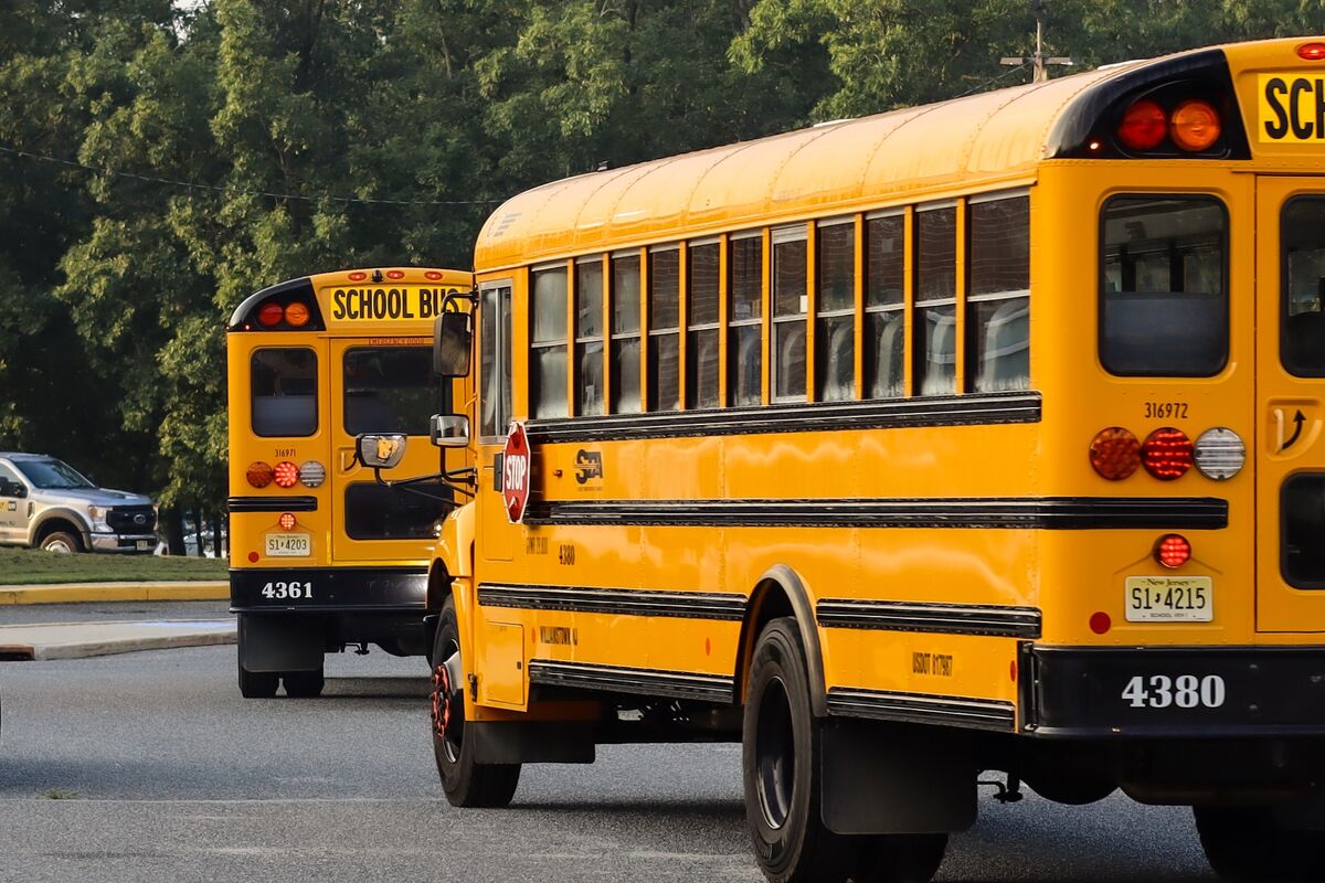 Two bright yellow school buses are parked on an asphalt street with green trees in the background.